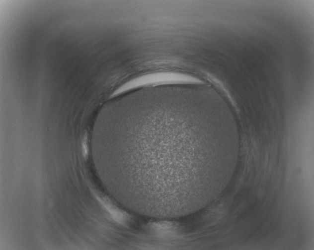 X0000080200069200612152051