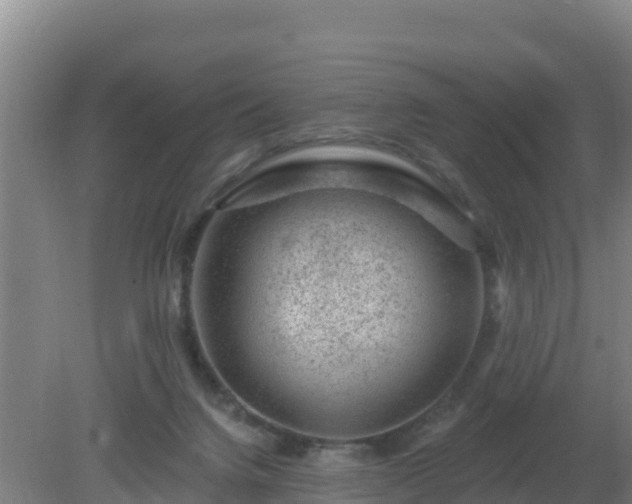 X0000080200072200612152051