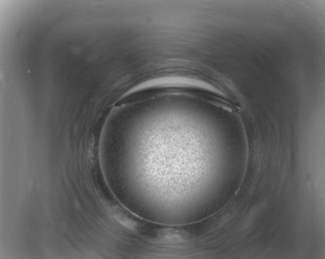 X0000080200073200612152051