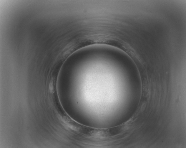 X0000080200074200612152051