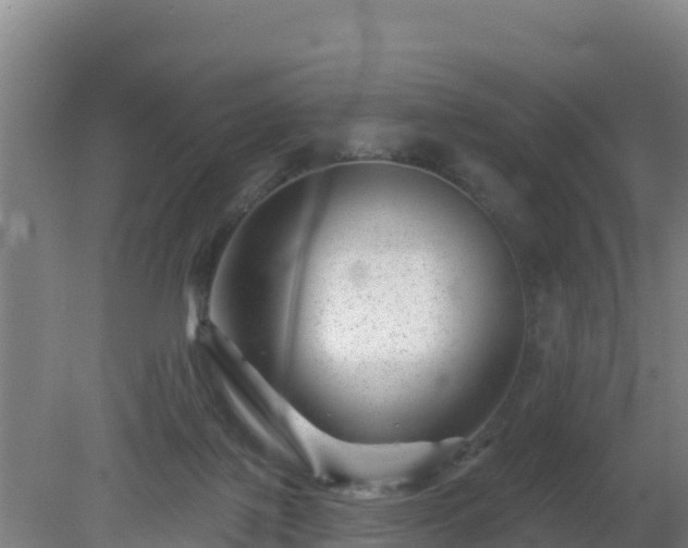 X0000080200075200612152051