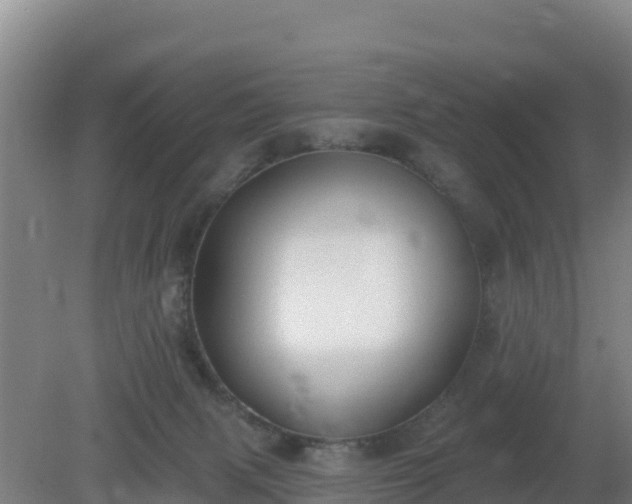 X0000080200079200612152051