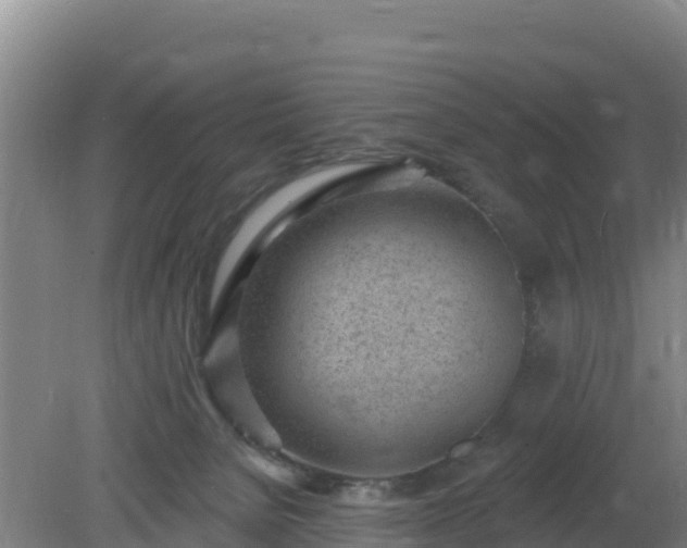 X0000080200080200612152051