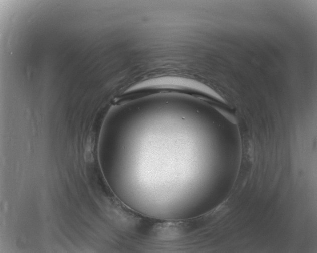 X0000080200082200612152051