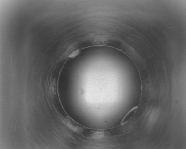 X0000080200083200612152051