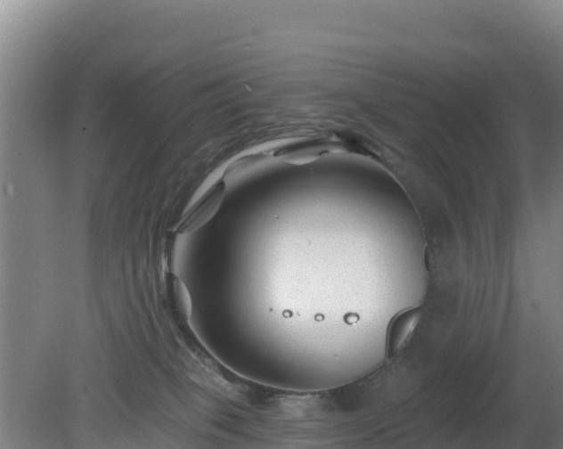 X0000080200085200612152051