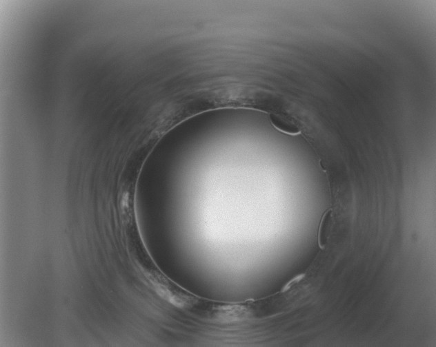 X0000080200087200612152051