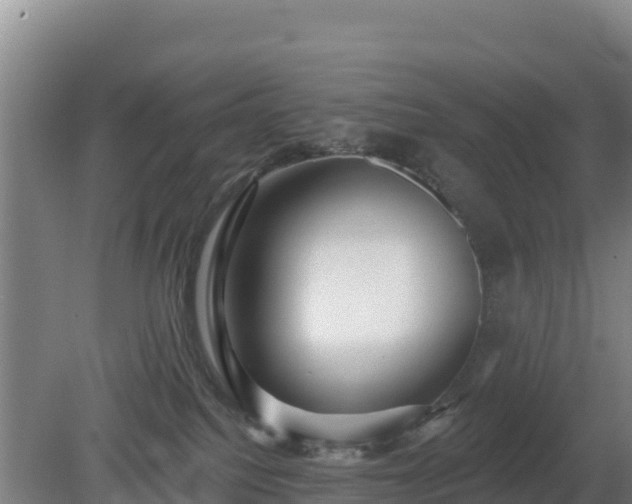 X0000080200088200612152051