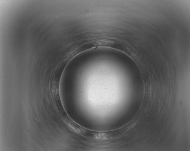 X0000080200091200612152051