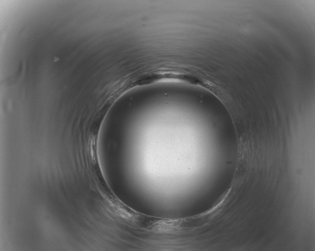 X0000080200094200612152051