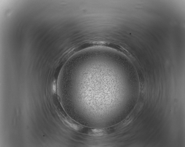 X0000080200095200612152051