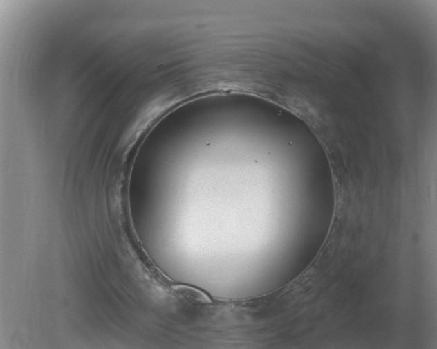 X0000080200098200612152050