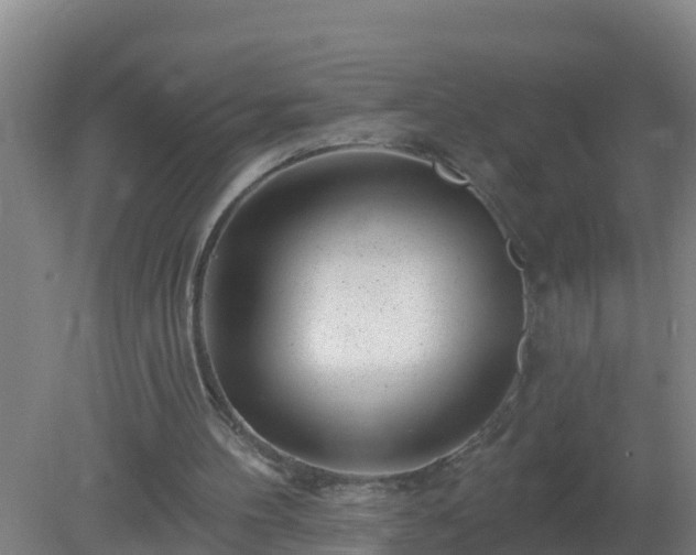 X0000080200100200612152050