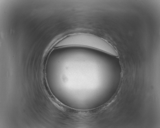 X0000080200101200612152050