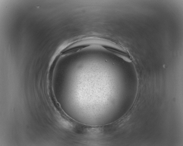 X0000080200102200612152050