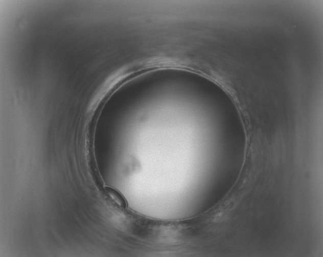 X0000080200103200612152050