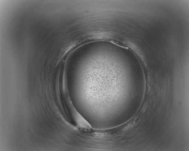 X0000080200105200612152050