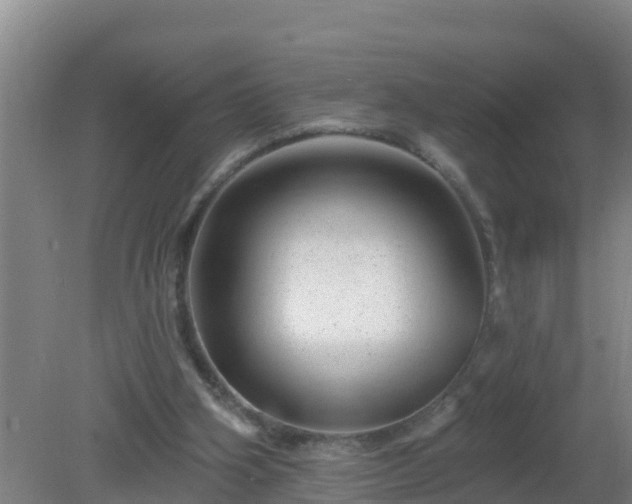 X0000080200106200612152050