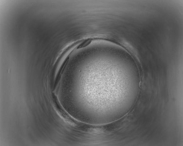 X0000080200107200612152050