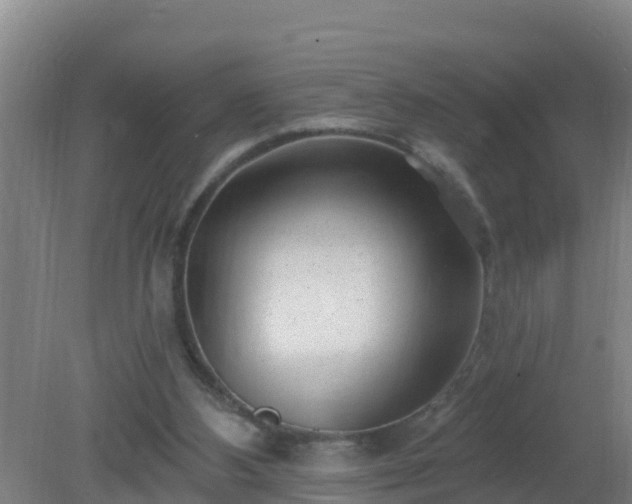 X0000080200108200612152050