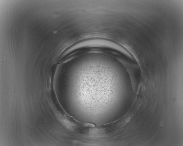 X0000080200109200612152050