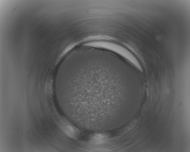 X0000080200111200612152050