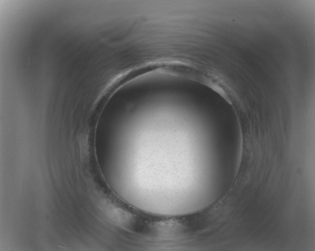 X0000080200112200612152050