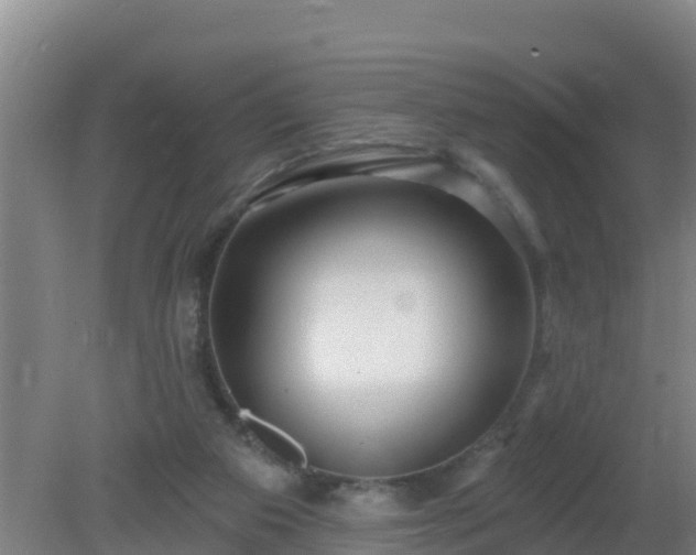 X0000080200113200612152050