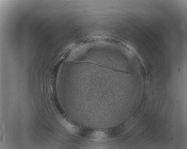 X0000080200114200612152050