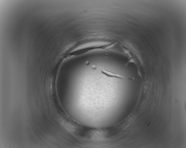 X0000080200115200612152050