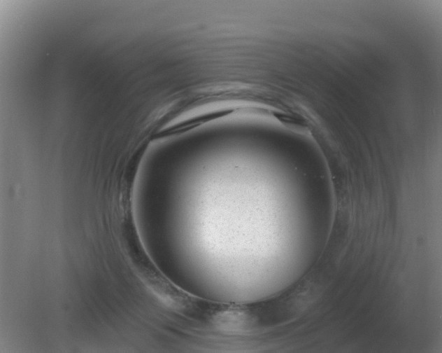 X0000080200119200612152050