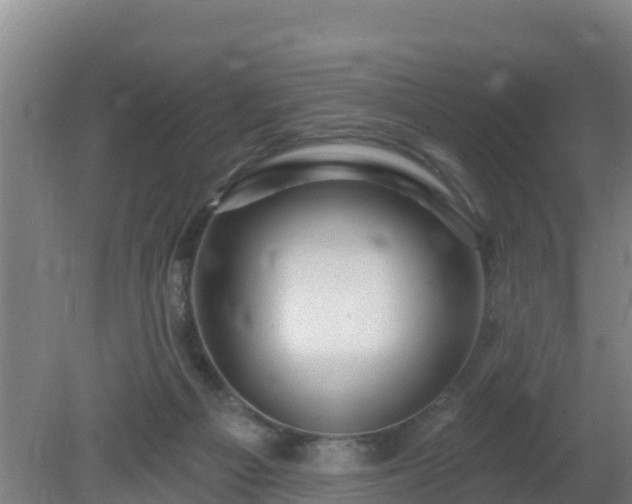 X0000080200121200612152050