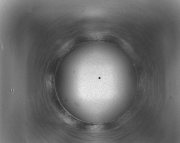 X0000080200122200612152050