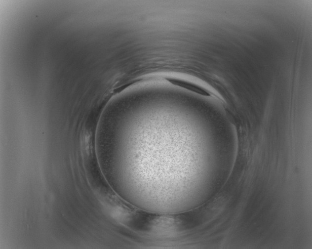 X0000080200123200612152050