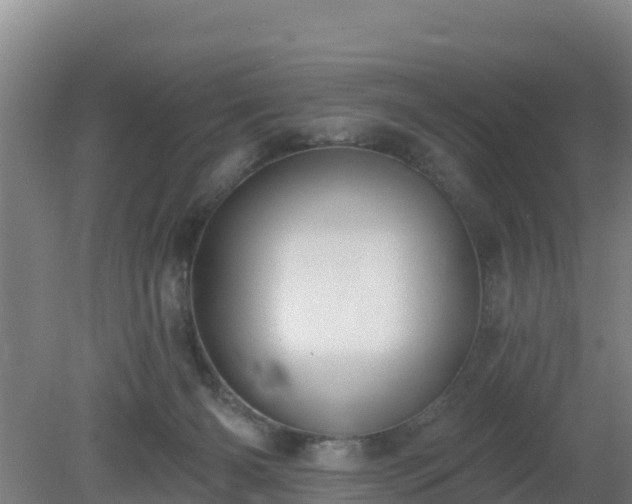 X0000080200126200612152050