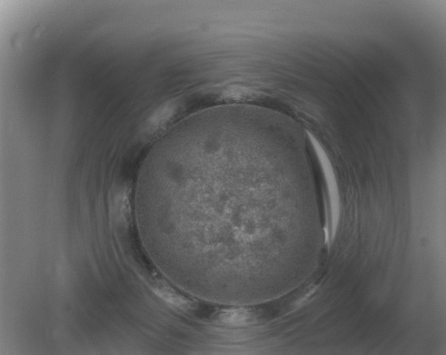 X0000080200127200612152050