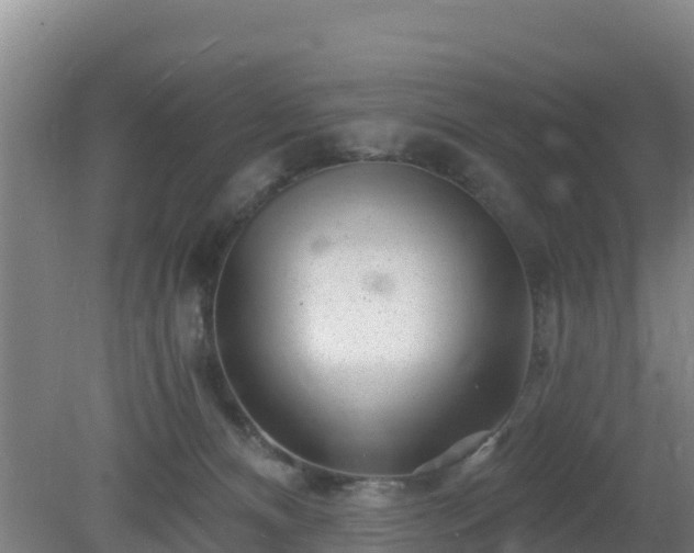 X0000080200128200612152050