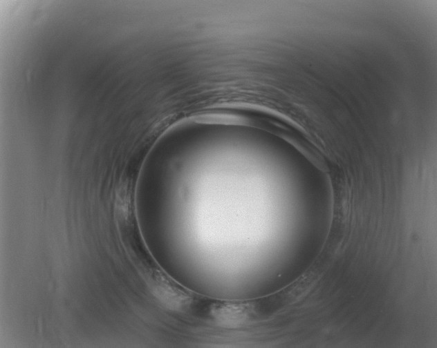 X0000080200129200612152050