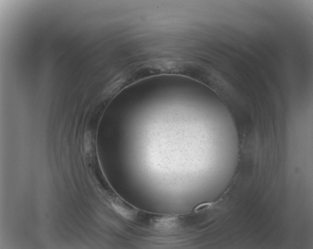 X0000080200132200612152050