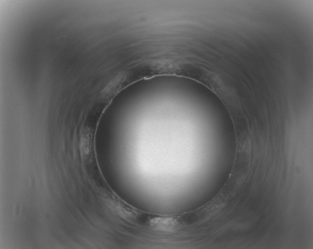 X0000080200133200612152050