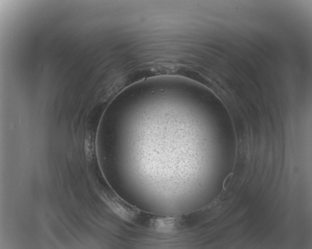 X0000080200134200612152050