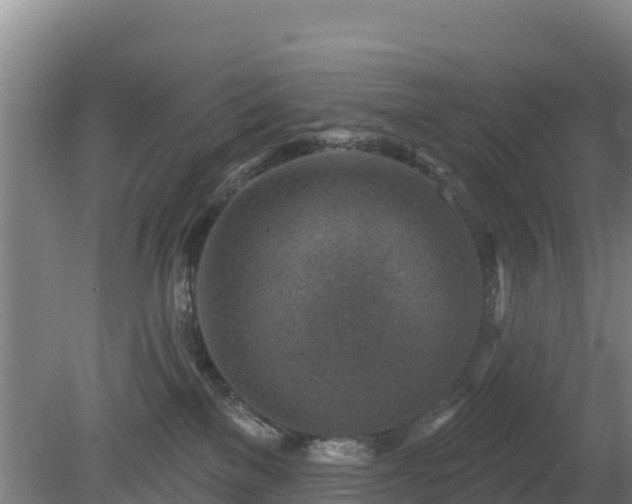 X0000080200137200612152050