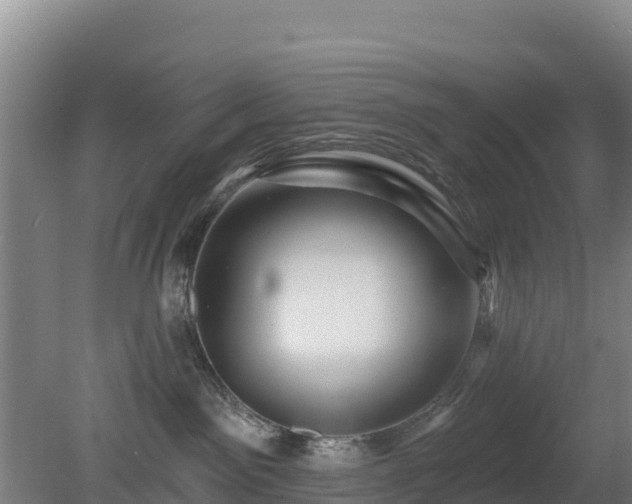 X0000080200141200612152050