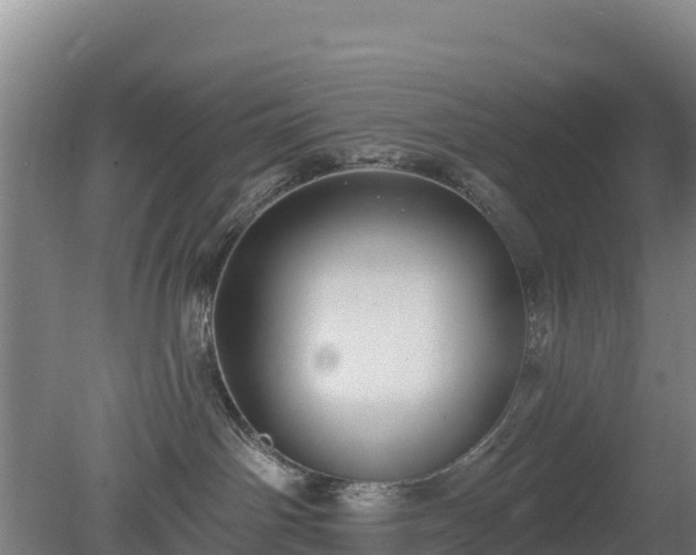 X0000080200142200612152050