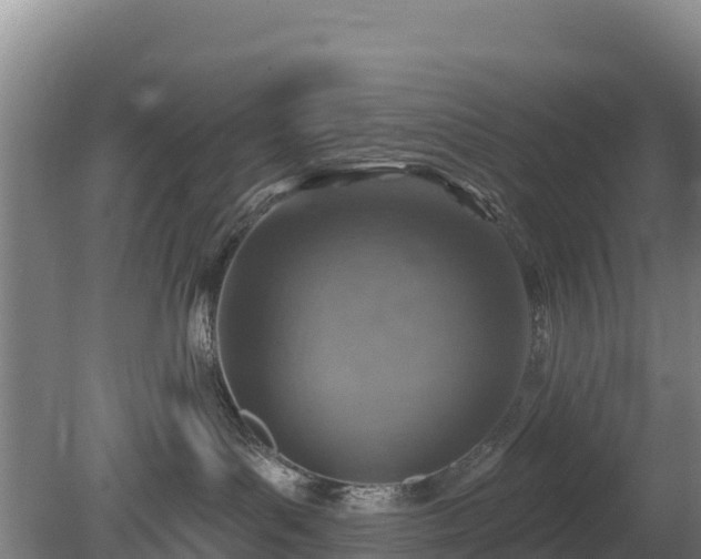 X0000080200143200612152050