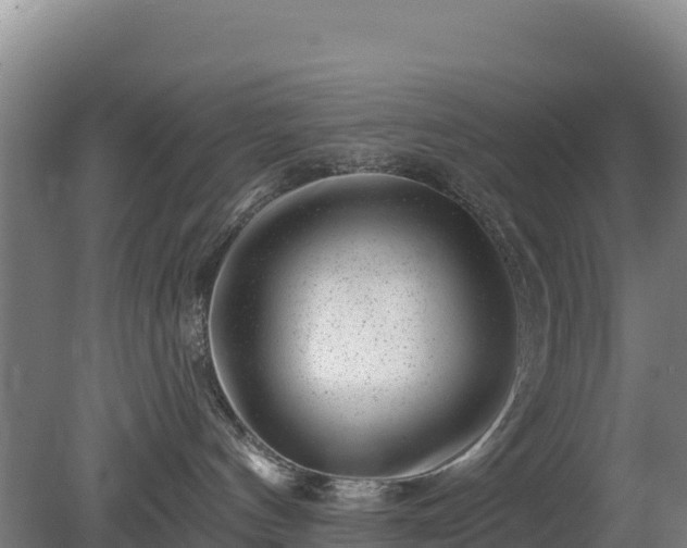 X0000080200144200612152050