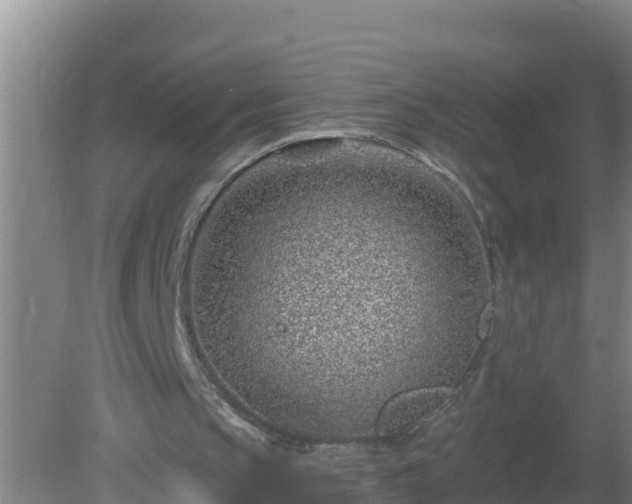 X0000080200145200612152049