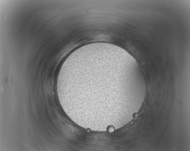 X0000080200146200612152049