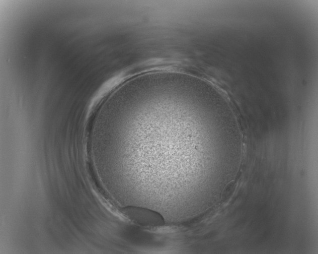 X0000080200149200612152049