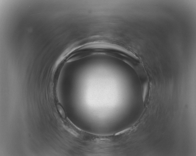 X0000080200150200612152049